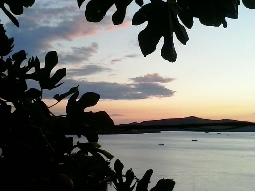 Apartmarin Trogir Room photo